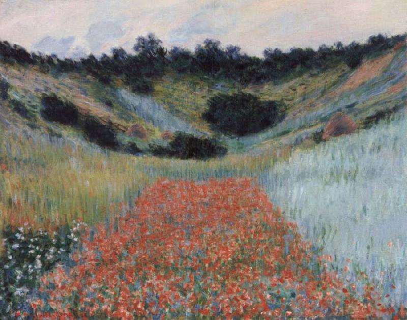 Claude Monet Poppy field in a hollow near Givemy oil painting picture